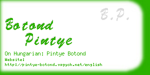 botond pintye business card